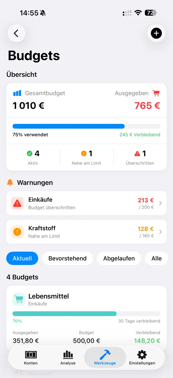 Intelligente Budgets